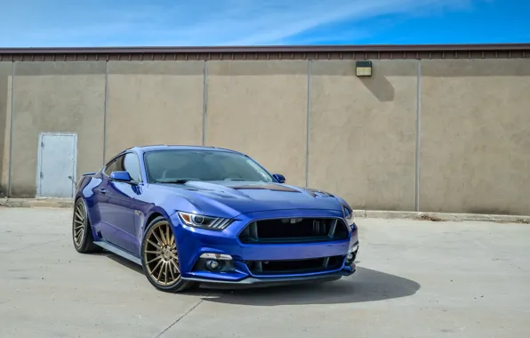 Mustang, wheels, ford, blue niche
