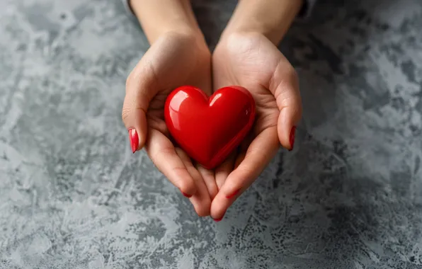 Love, holiday, red, heart, hands, grey background, heart, palm