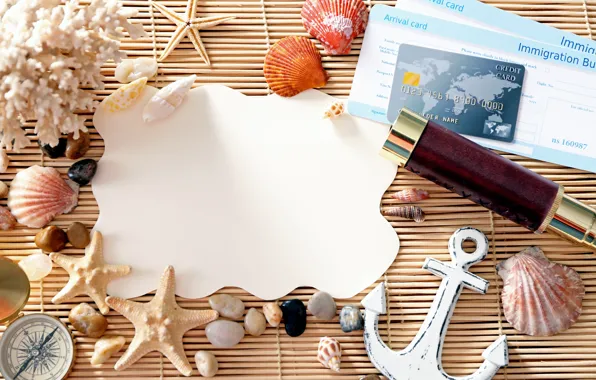 Sea, shell, starfish, sea, frame, the difference