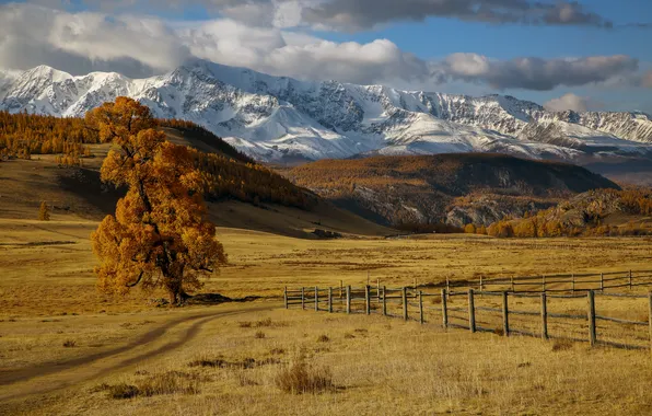 Clouds, mountains, tree, Autumn, valley, beautiful landscape, Murzinov Victor