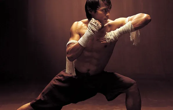 Picture movement, Ong bak, Tony JAA