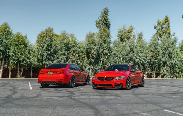 Red, F82, F80, M3, M4