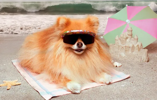 Picture sand, sea, wave, beach, the sun, umbrella, glasses, surf