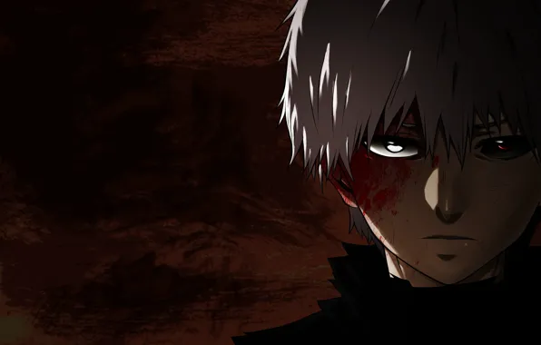 Picture anime, asian, manga, Tokyo Ghoul, Ghoul, japonese, The kanek, bakemono
