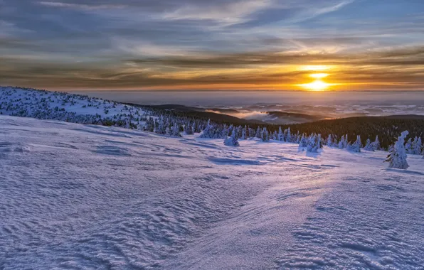Winter, sunrise, Mountains, Jeseniky