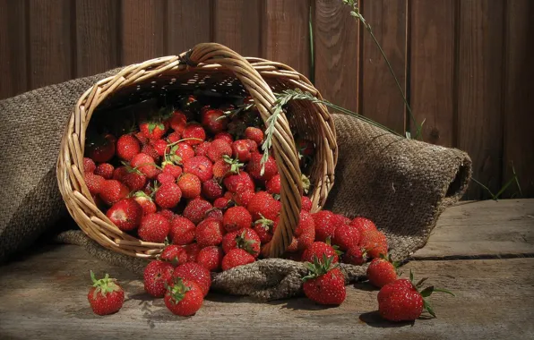 Berries, tree, strawberry, basket, basket, rospi