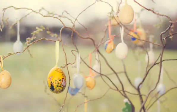 Branches, holiday, eggs