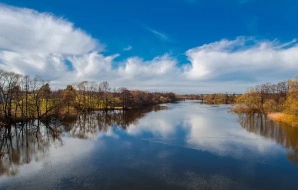 Picture clouds, trees, reflection, river