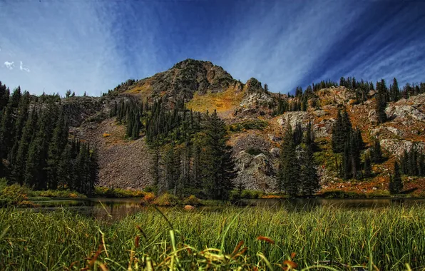 Picture forest, grass, lake, mountain, the grass around lake martha