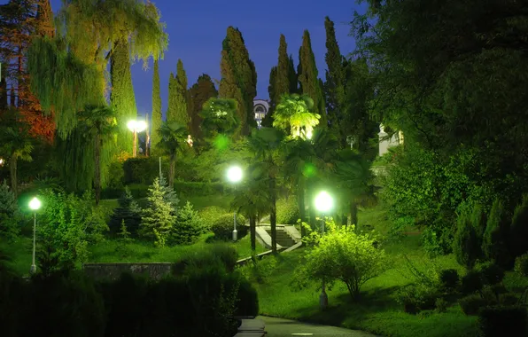 Picture trees, Park, the evening, lights