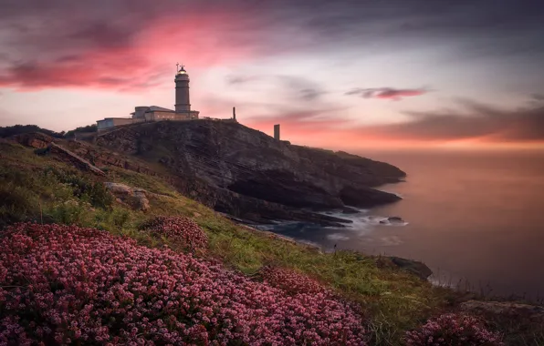 Sea, the sky, clouds, sunset, flowers, rocks, shore, lighthouse