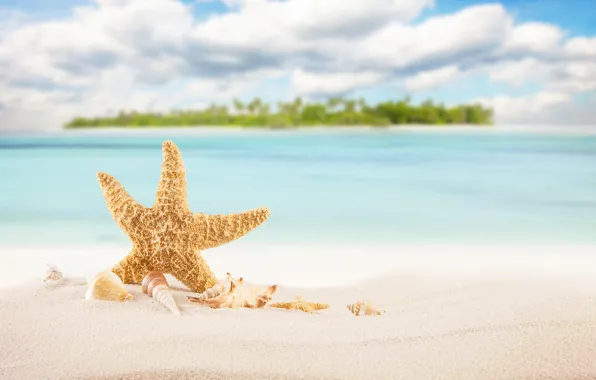 Sand, sea, wave, beach, summer, the sky, shore, star