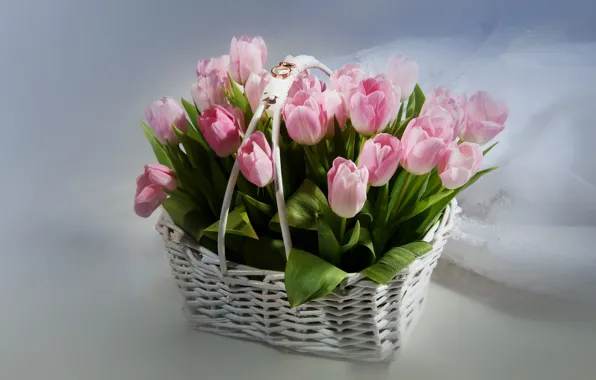 Flowers, basket, ring, petals, tulips