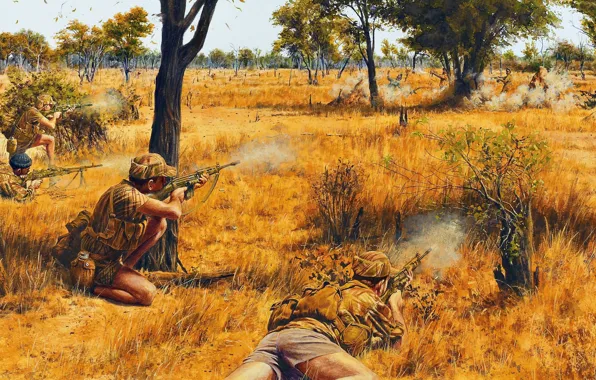 Picture ambush, shootout, southern Rhodesia, armed struggle, The war in southern Rhodesia