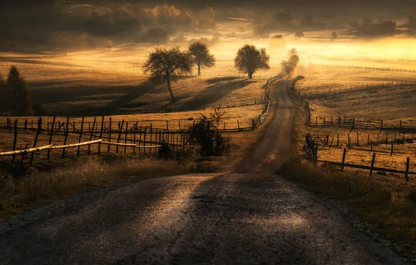 Picture road, the sun, field, Adnan Bubalo