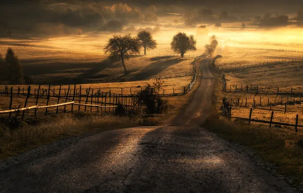 Road, the sun, field, Adnan Bubalo