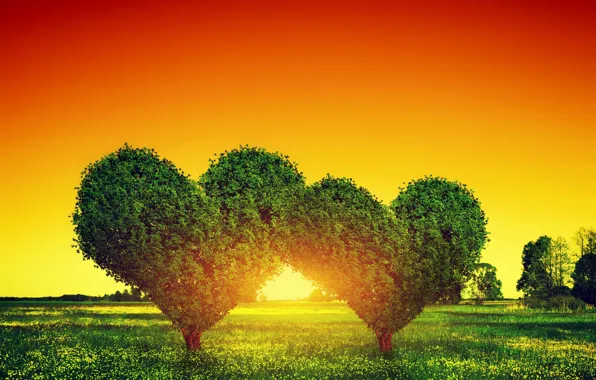 Love, sunset, tree, green, heart, love, heart, sunset