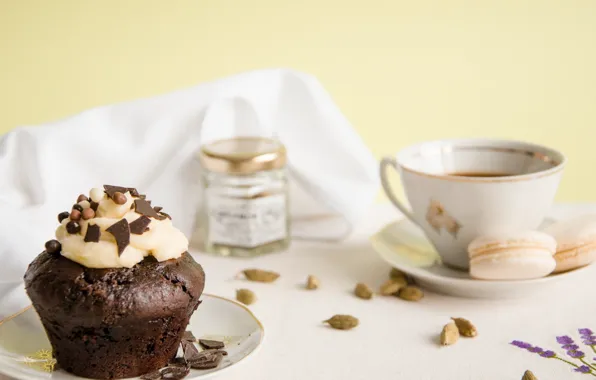 Coffee, chocolate, dessert, sweet, cupcake, macaron