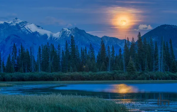 Forest, mountains, lake, the moon, Canada, the full moon, Vermillion Lake