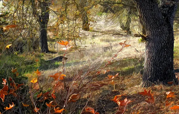 Autumn, forest, trees, rendering