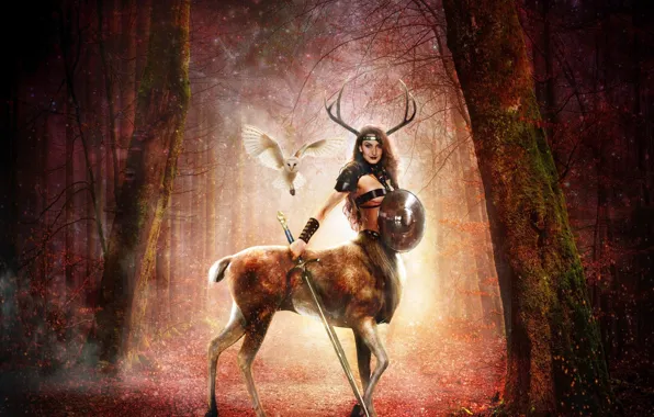 Girl, Look, Owl, Sword, Weapons, Horns, Shield, Centaur