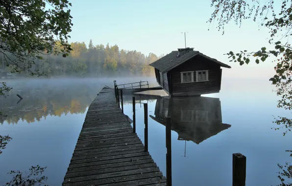 Forest, lake, posts, pierce, house, the bridge