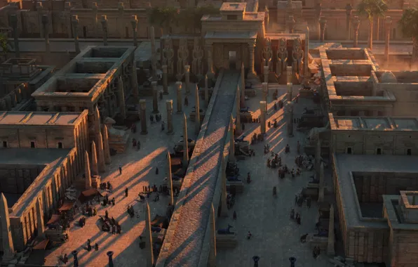 The city, people, area, structure, Egypt