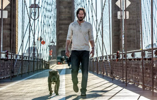 Bridge, dog, John Wick, John Wick: Chapter Two