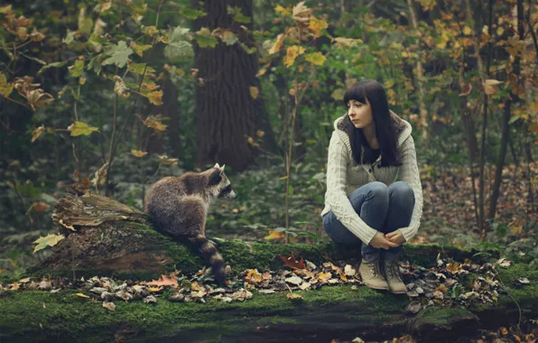 Forest, girl, raccoon, company