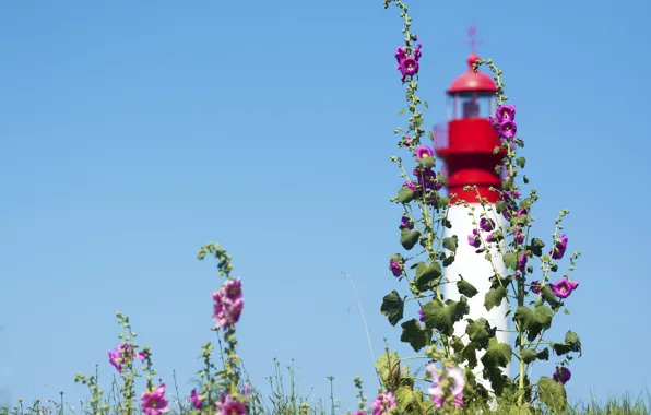 Picture the sky, flowers, lighthouse, mallow