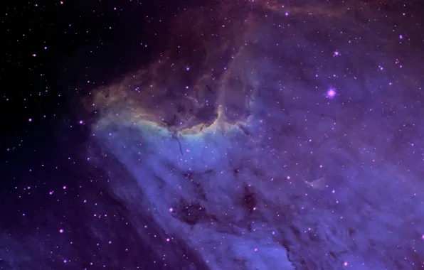 Nebula, in the constellation, Swan, Pelican