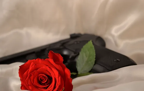 Gun, background, roses