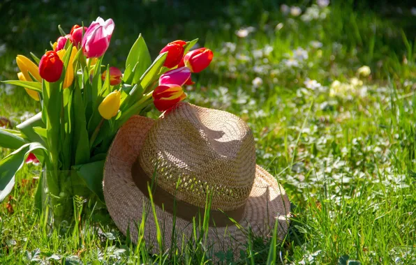 Flowers, Tulips, Bouquet, Hat