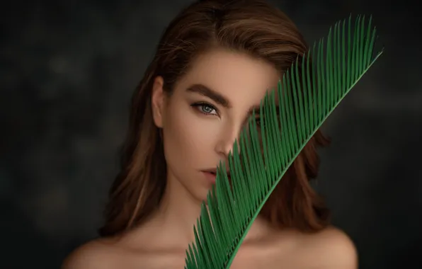 Look, leaves, girl, face, background, portrait, shoulders, Falak Ali