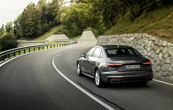 Audi, sedan, mountain road, Audi A4, 2019