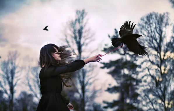 Picture forest, girl, birds, nature, mood