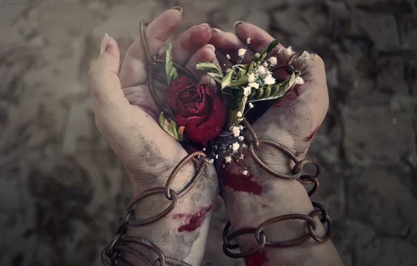 Picture flowers, blood, dust, hands, chain