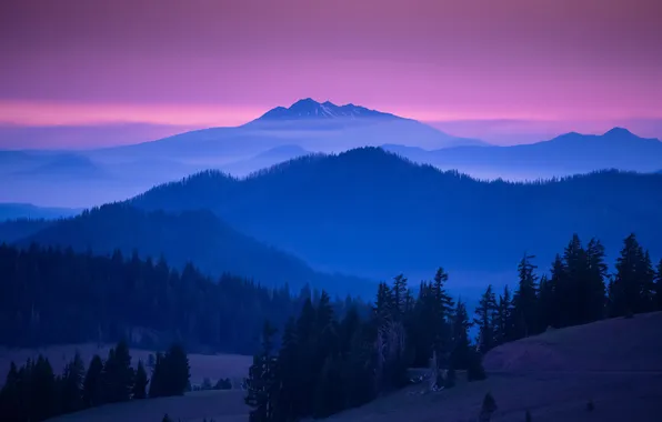 Forest, the sky, trees, sunset, mountains, blue, the evening, John S