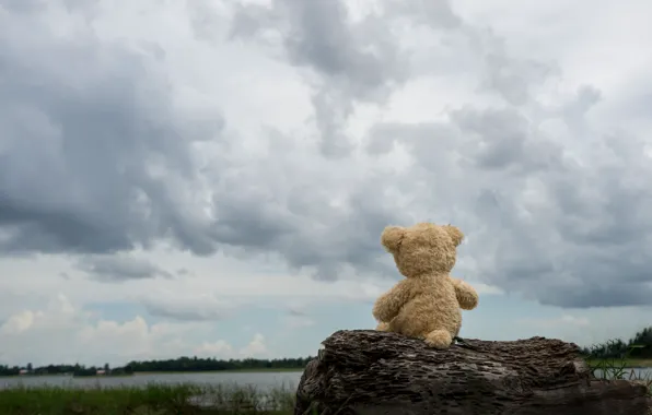 Picture sand, sea, beach, clouds, toy, bear, bear, Board