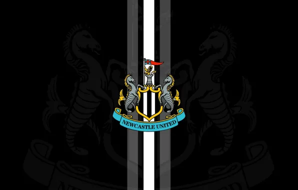 Picture wallpaper, England, Newcastle United FC