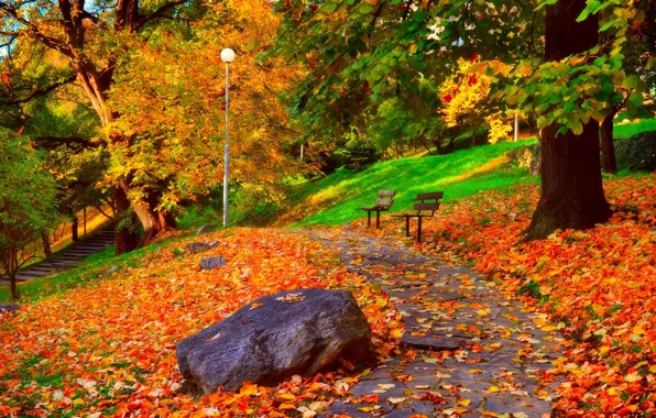 Picture leaves, trees, Park, Autumn, track, falling leaves, benches, trees