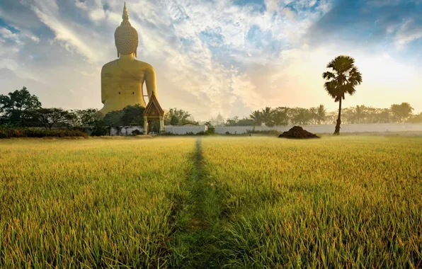 Field, trail, Thailand, temple, Thailand, Buddha statue