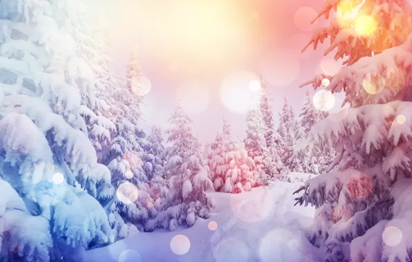 Winter, forest, snow, snowflakes, tree, nature, winter, snow