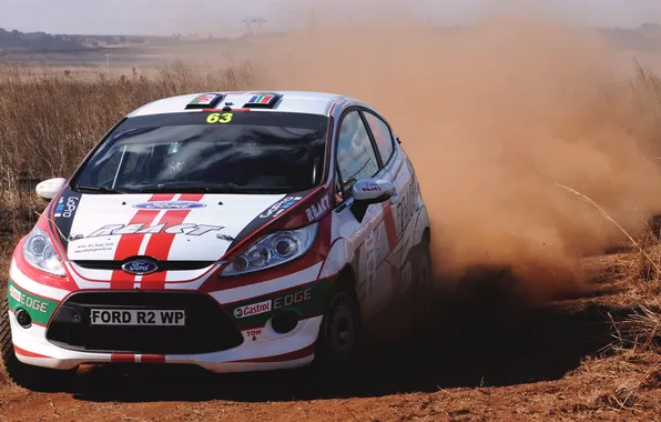 Picture Ford, Dust, Sport, Machine, Race, The hood, Day, WRC