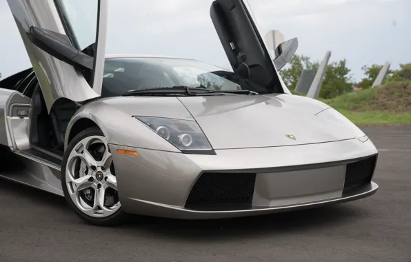 Lamborghini, Lamborghini Murcielago, Murcielago, lambo, front view