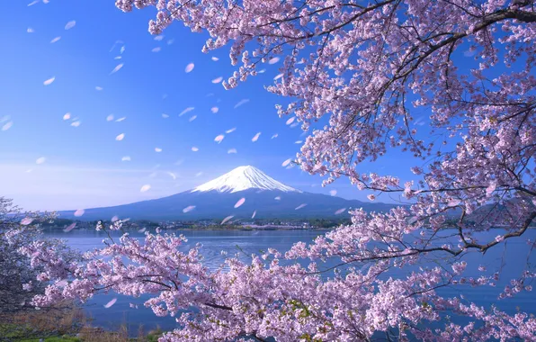 The sky, trees, landscape, nature, lake, Japan, Sakura, horizon