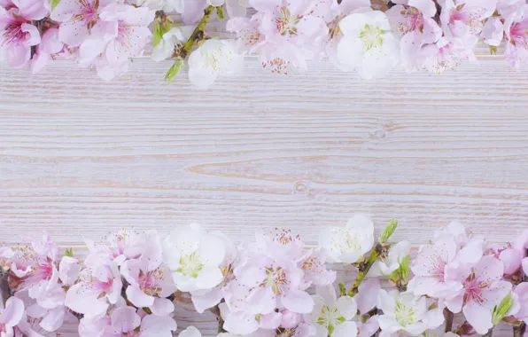 Picture flowers, sprig, background, spring, flowering