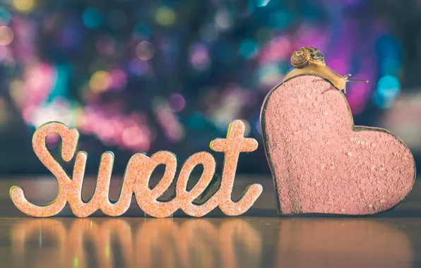 Macro, love, reflection, letters, background, the inscription, heart, snail