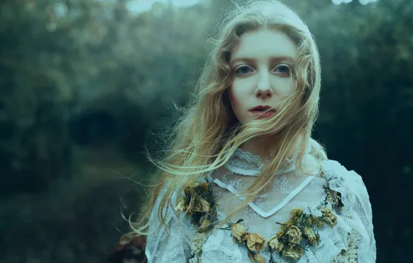Picture forest, girl, Bella Kotak, dry flowers, the change