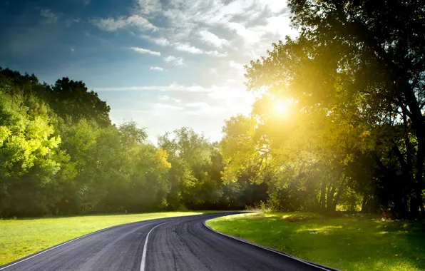Road, summer, the sun, light, nature